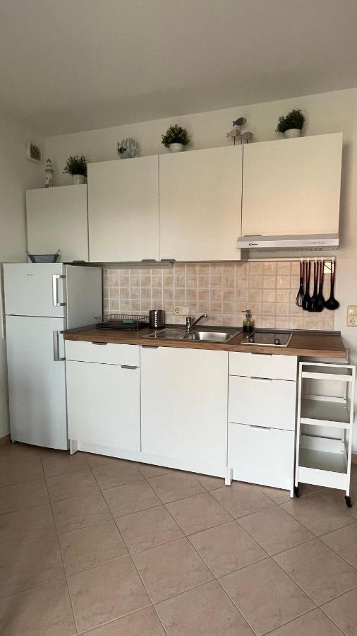 Apartament Nada And Family Rovinjsko Selo Zewnętrze zdjęcie