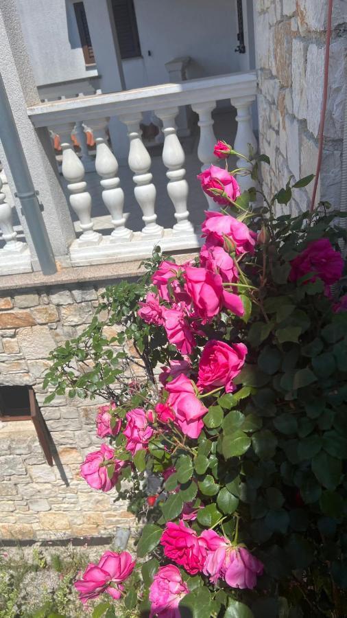Apartament Nada And Family Rovinjsko Selo Zewnętrze zdjęcie
