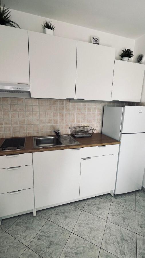 Apartament Nada And Family Rovinjsko Selo Zewnętrze zdjęcie