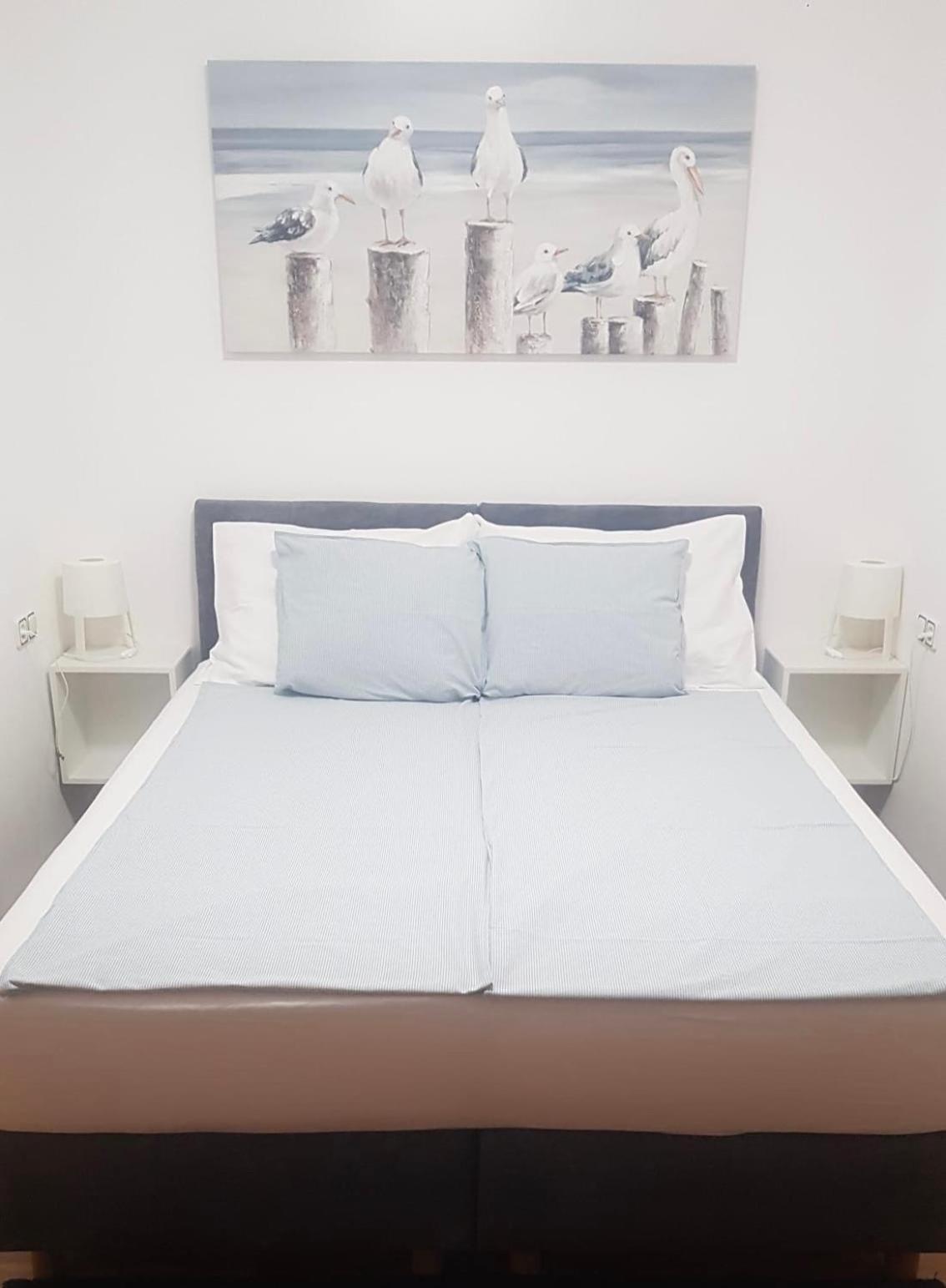 Apartament Nada And Family Rovinjsko Selo Zewnętrze zdjęcie